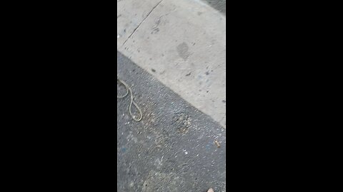 DIY boat repair