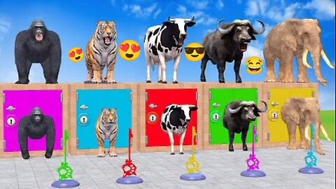 Long Slide Game With Cow Elephant Gorilla Hippopotamus Tiger - 3d Animal Game - Funny 3d Animals