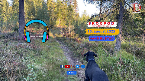 Skogpod 15. august 2025