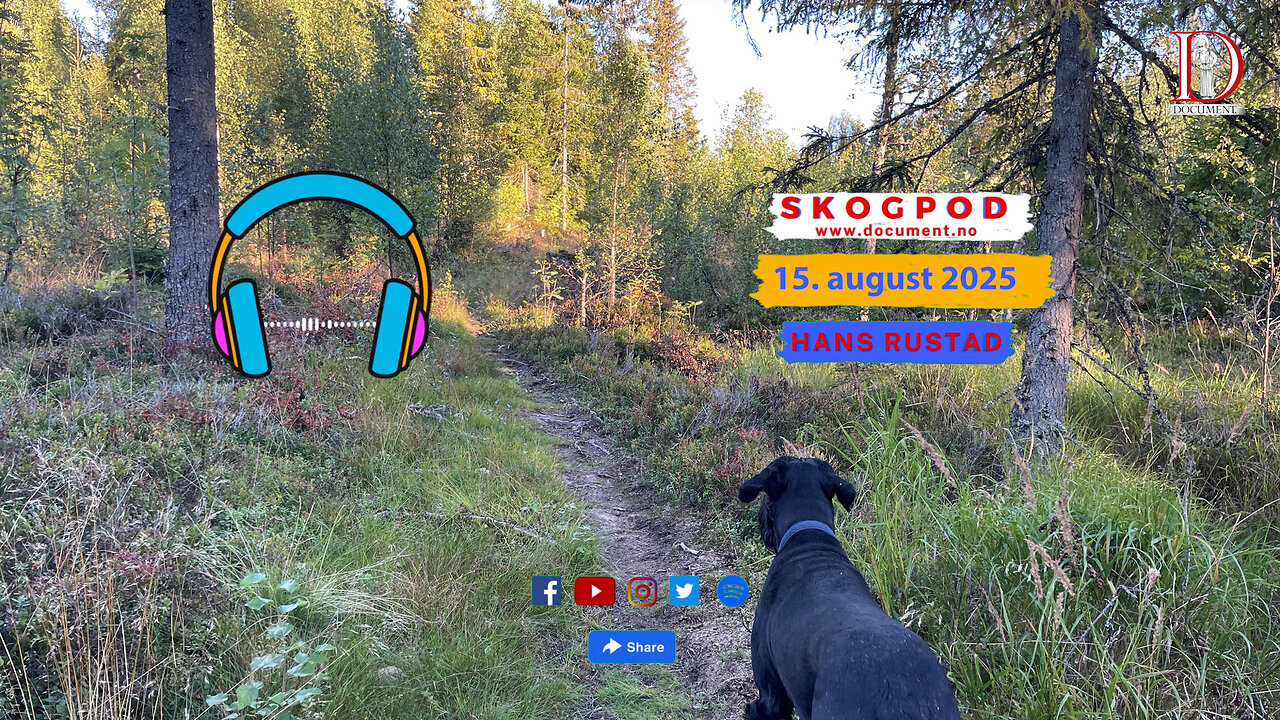 Skogpod 15. august 2025