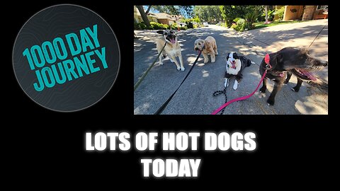1000 Day Journey 0699 Lots of Hot Dogs Today