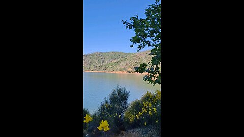 Shasta Dam