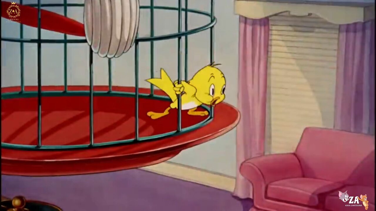 Tom and Jerry Cartoons