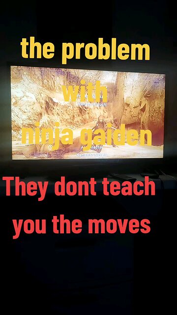 the problem with ninja gaiden