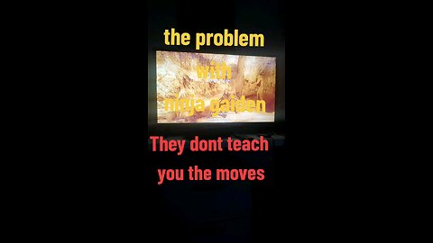 the problem with ninja gaiden
