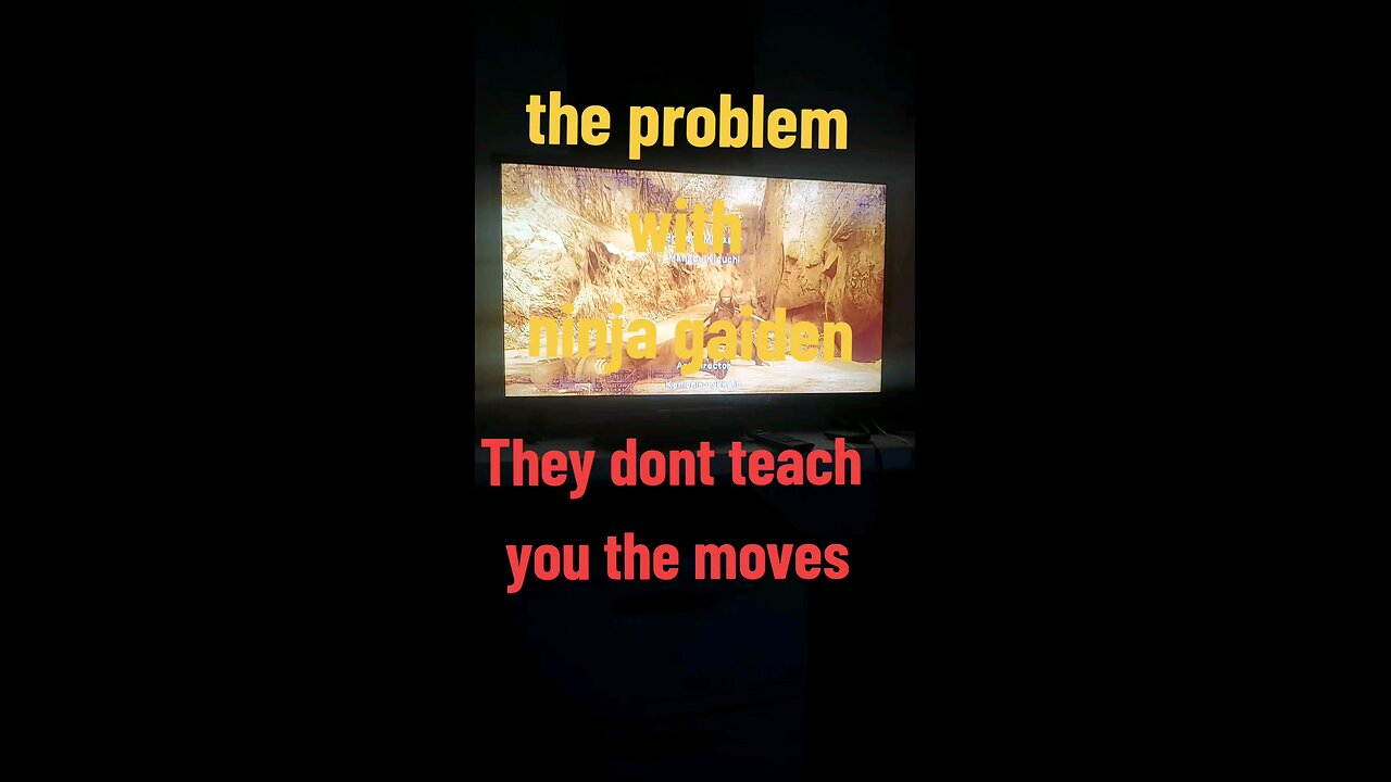 the problem with ninja gaiden