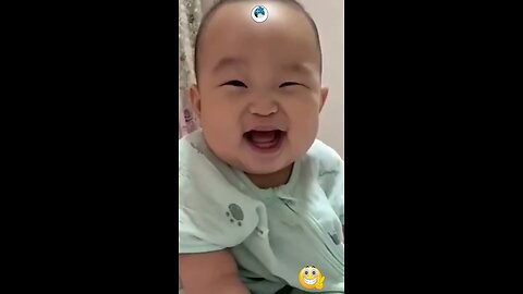 Cute dogs, funny cats and adorable babies