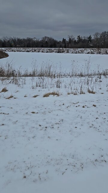 Stonewort and Riverbend Ponds Frozen