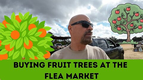 ALL HELL IS BREAKING LOOSE - DEATH OF THE DOLLAR - AI BUST - DRIVE BABY DRIVE