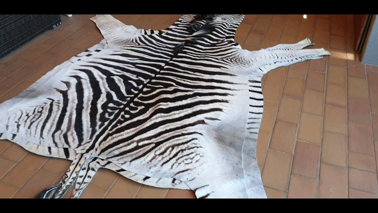 4 small-medium size burchell zebra skins