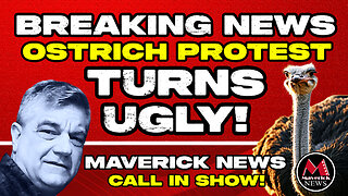 "Universal Ostrich Protest Turns Ugly: Fights, Lies, and Kicked-Out Activists!"