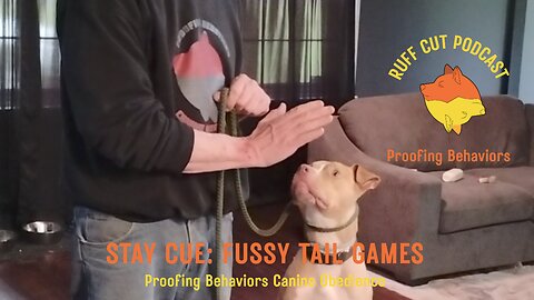 George and the Stay Cue
