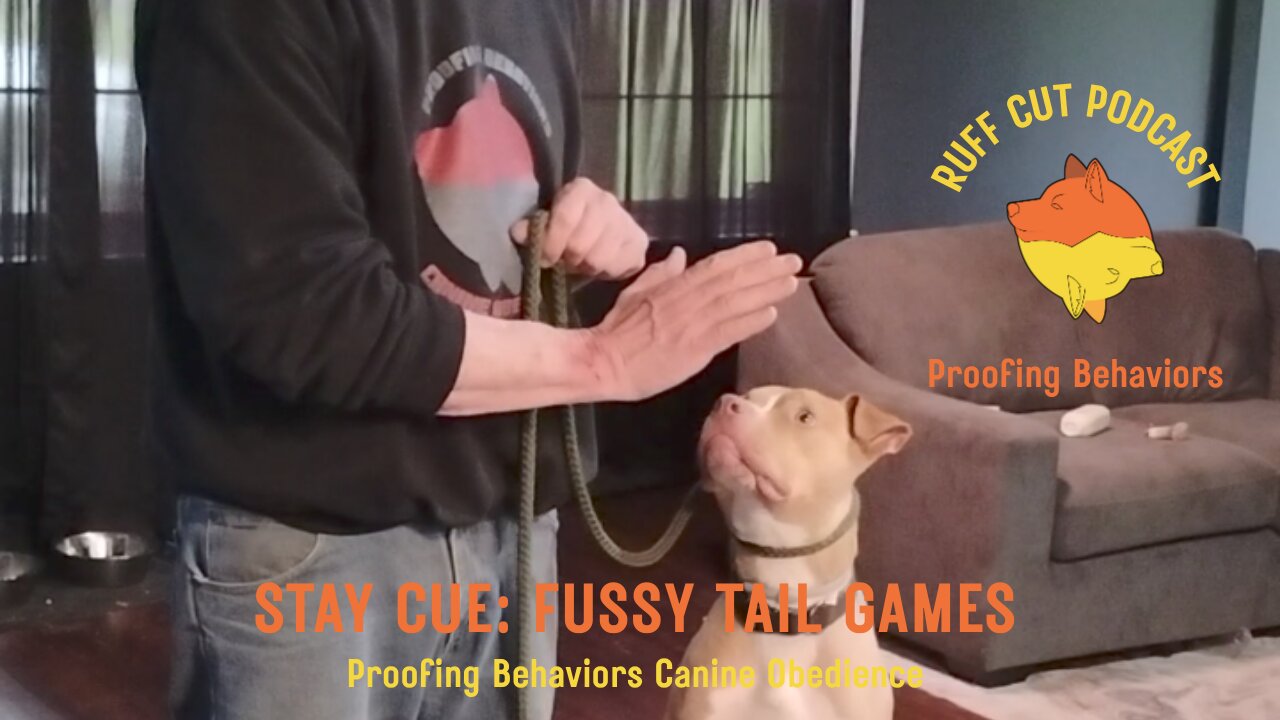 George and the Stay Cue
