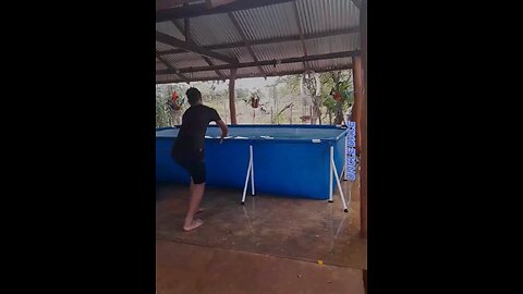 Most Funny Videos