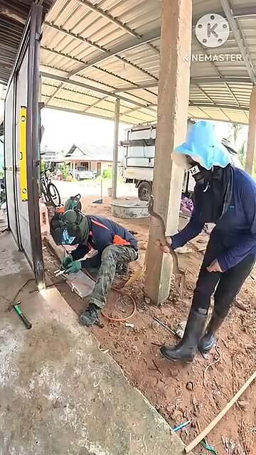 funny videos belonging to your cell