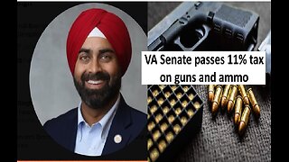 Virginia senate passes 11% tax on guns & ammo, communism is here