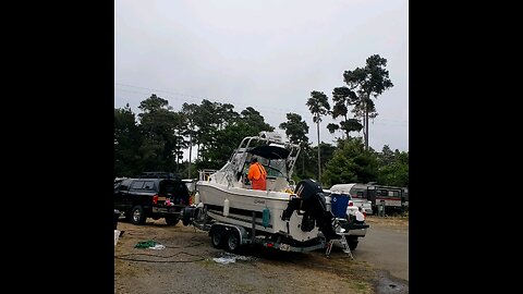 August 11th, 2025 Albacore at Hidden Pines in Fort Bragg California.