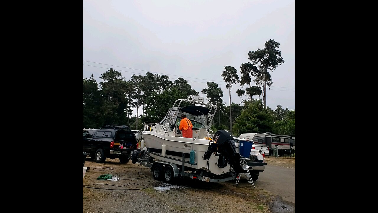 August 11th, 2025 Albacore at Hidden Pines in Fort Bragg California.