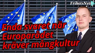 Kritiken från Bryssel är ett hån mot svenska folket