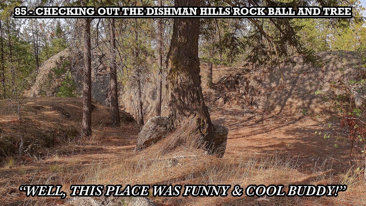 CHECKING OUT THE DISHMAN HILLS ROCK BALL AND TREE