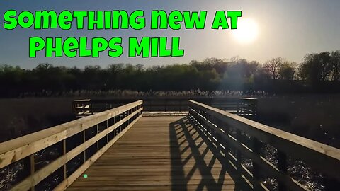 Something New at Phelps Mill