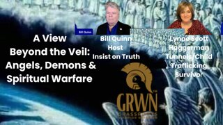 A View Beyond the Veil: Angels, Demons & Spiritual Warfare Revealed by Lynne
