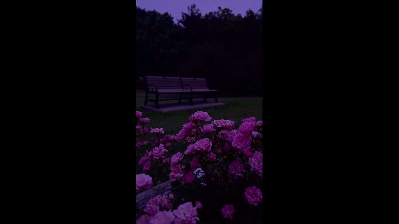 quiet life