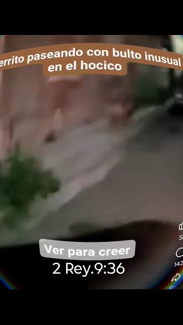 #espiritus #biblia #reino