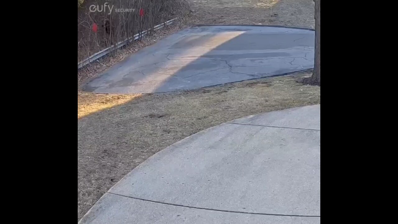 Camera Catches Man Emerging Fro Bushes Toward Another Man’s Home #caughtoncamera #homeintruder #japd