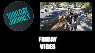 1000 Day Journey 0738 Friday Vibes