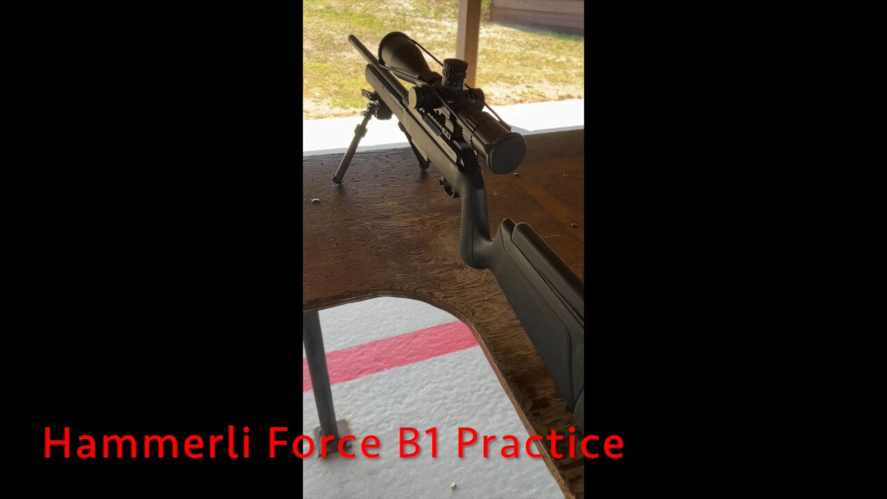 Hammerli Force B1 Target Practice