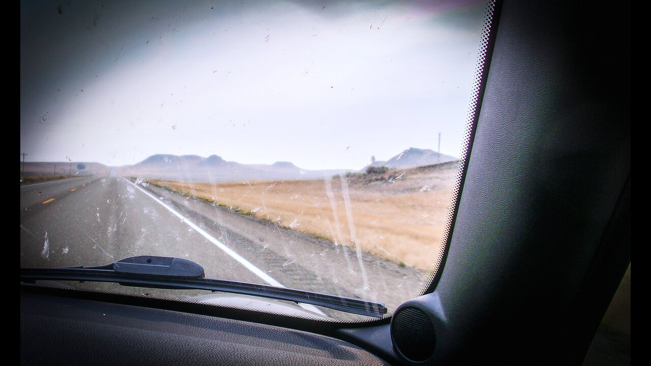 #56: My Travels & Bizarre Celebration