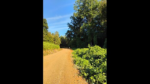 Our Kudzu walk