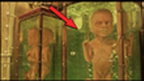 "Unmasking 'The City of Lost Children': Child Theft, Homunculi and Mind Control in Film"