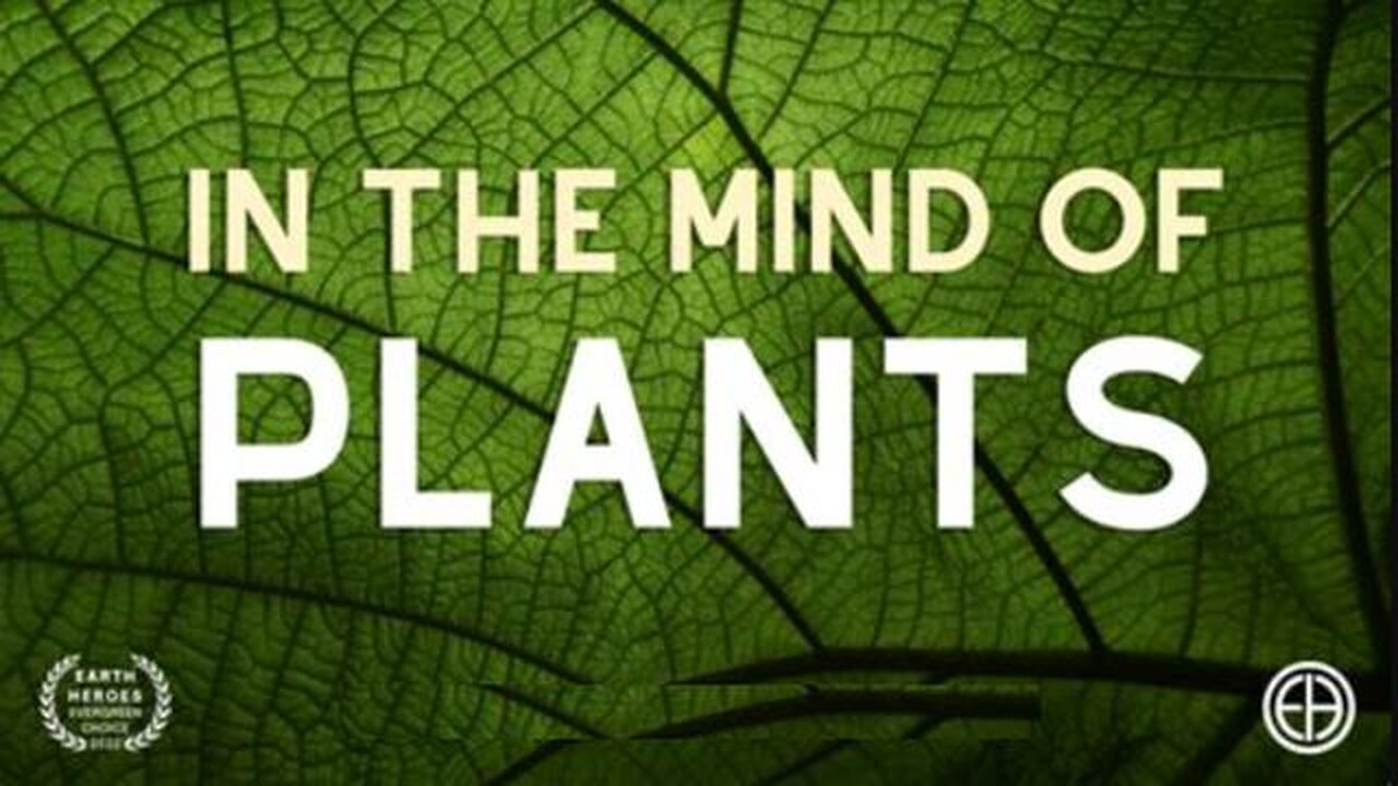 In the Mind of Plants (2008)