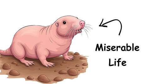 Why it sucks to be born as Naked Mole Rat