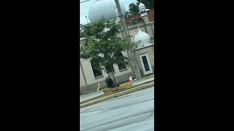 Confusion in St. Catharines