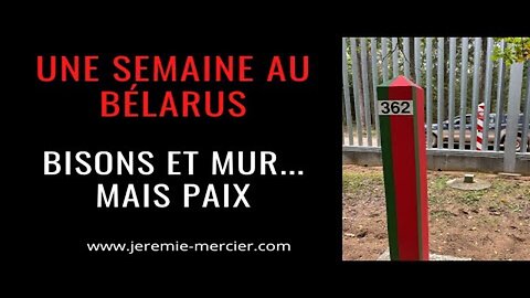 Une semaine au Bélarus 🇧🇾 : bisons 🦬 , mur, énergie, paix, 😷