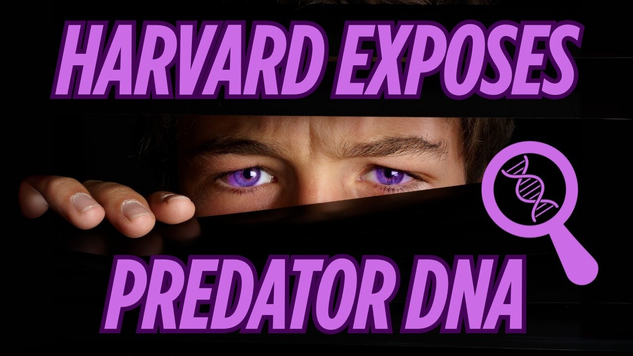 Meet the Dark Triad Predators