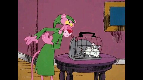 Pink Panther and cat part -2