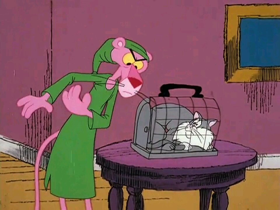 Pink Panther and cat part -2
