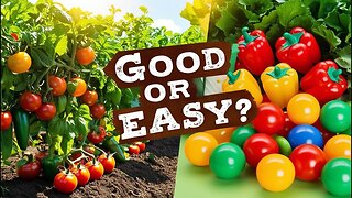Good Or Easy? | Crossfire Healing House