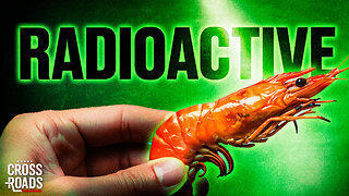 FDA Warns of Radioactive Shrimp; Trump Admin's 'Fit Not Fat' Challenge Unveiled