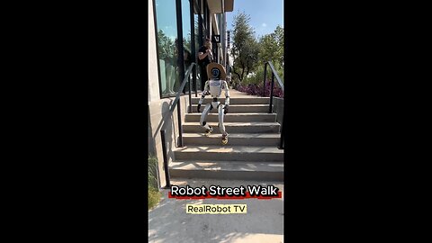 Robot Street Walk
