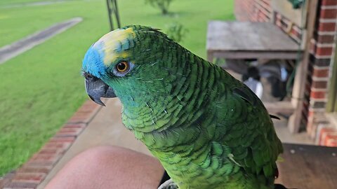 Spend a minute with Rocco