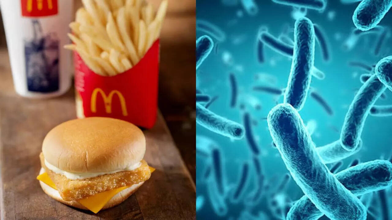 🍔 McDonald’s Burgers Can Contain Up to 1,300 Strands of Different DNA as a Result of Going From Small Farms to Mega Corps