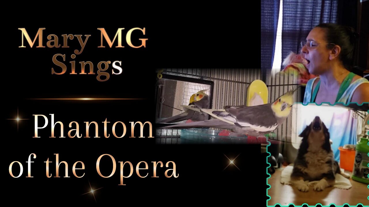 Mary MG Sings - Phantom of the Opera with a dog and bird