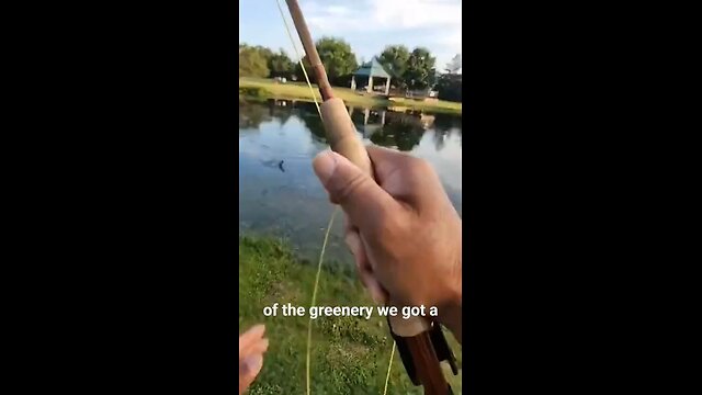 Watch why I chose a fly rod when a pond is clobbered with algae #flyfishing #bass #fishing