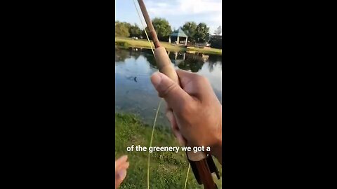 Watch why I chose a fly rod when a pond is clobbered with algae #flyfishing #bass #fishing