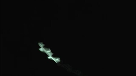 UFO IDENTIFIED Barbell ET Drones Over Adelaide 25 January 2026